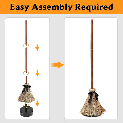 The Enchanted Flying Broom shown in full